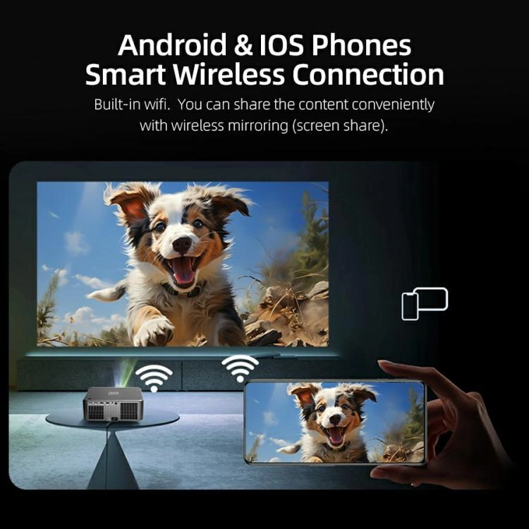 Wireless phone screen sharing with projector display